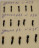 Мормышка вольфрамовая Уралка 2.5 с кубиком Хамелеон 434